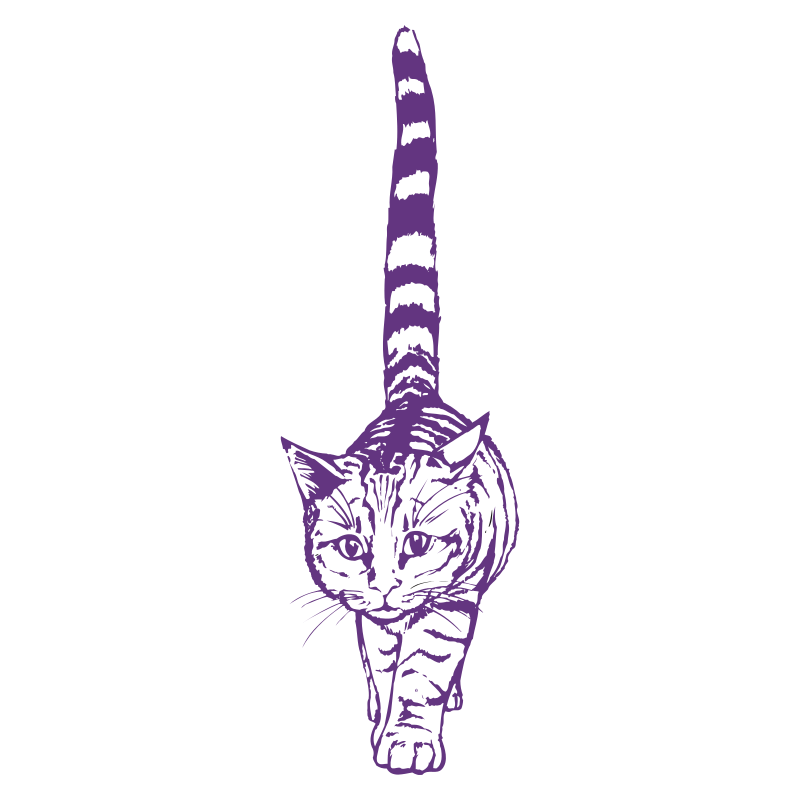 Sticker Chat géant