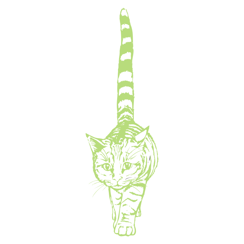 Sticker Chat géant