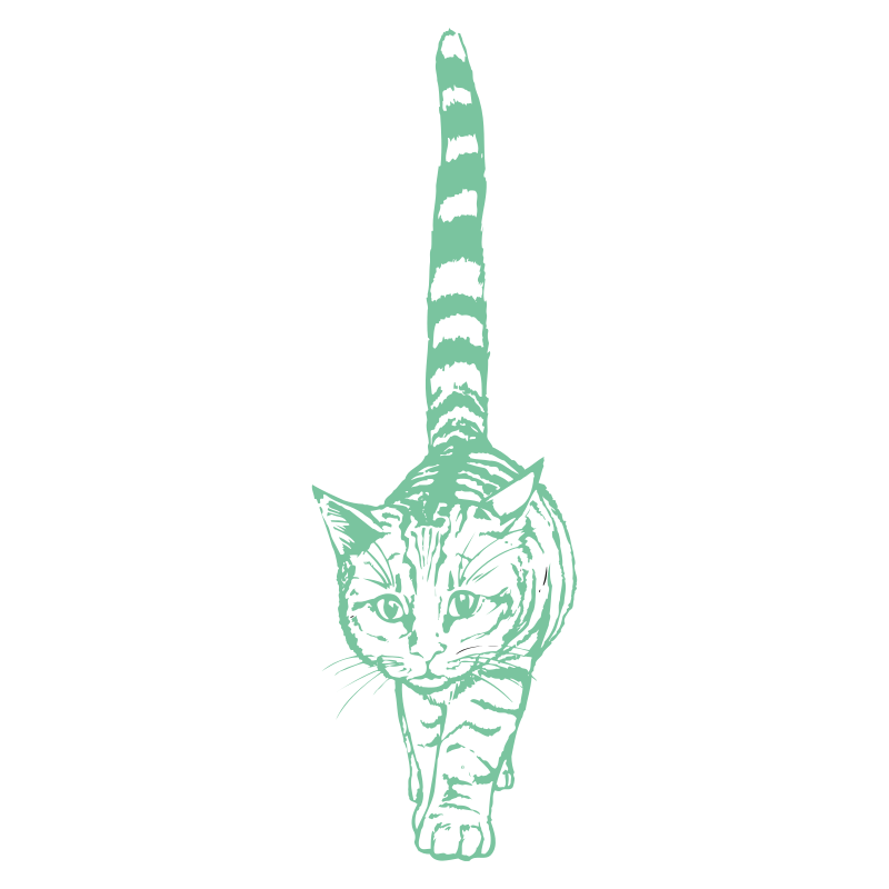 Sticker Chat géant