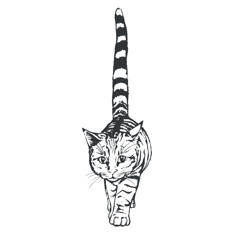 Sticker Chat géant