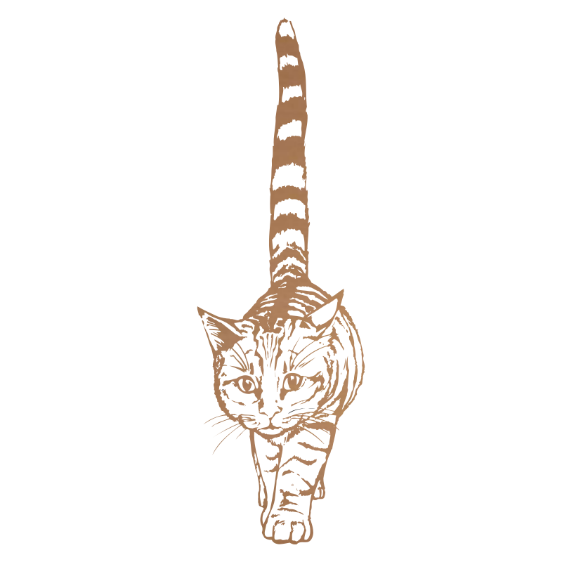 Sticker Chat géant