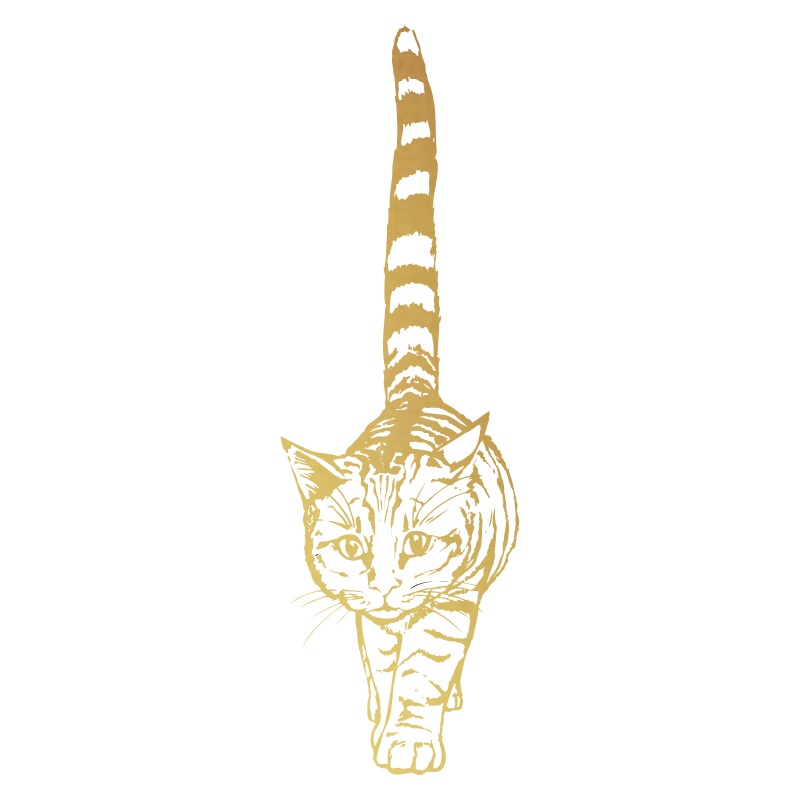 Sticker Chat géant
