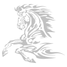 Sticker Cheval flammes