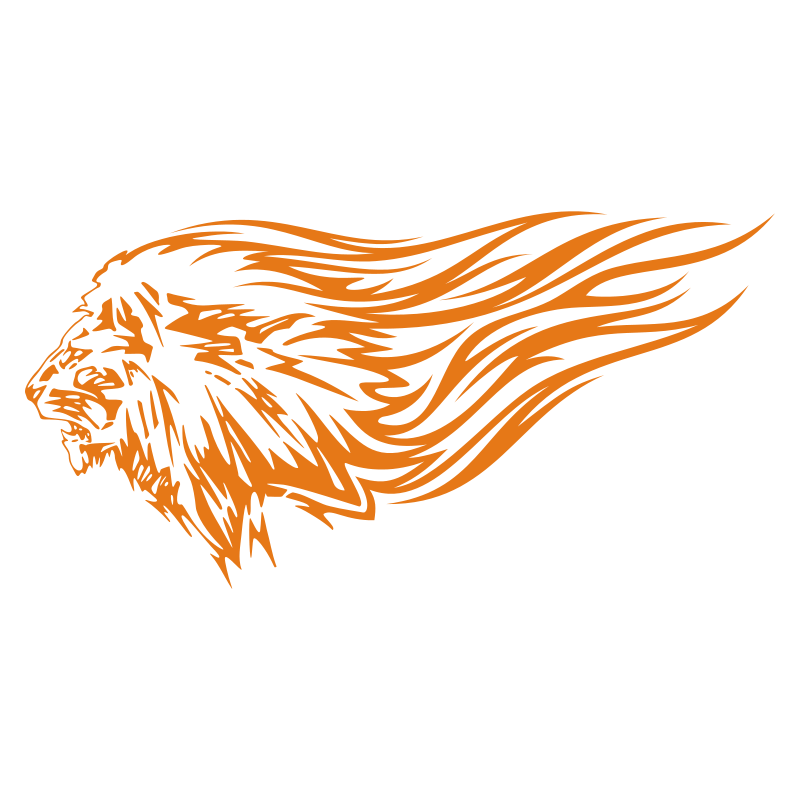 Sticker Lion flammes