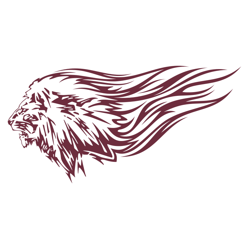 Sticker Lion flammes