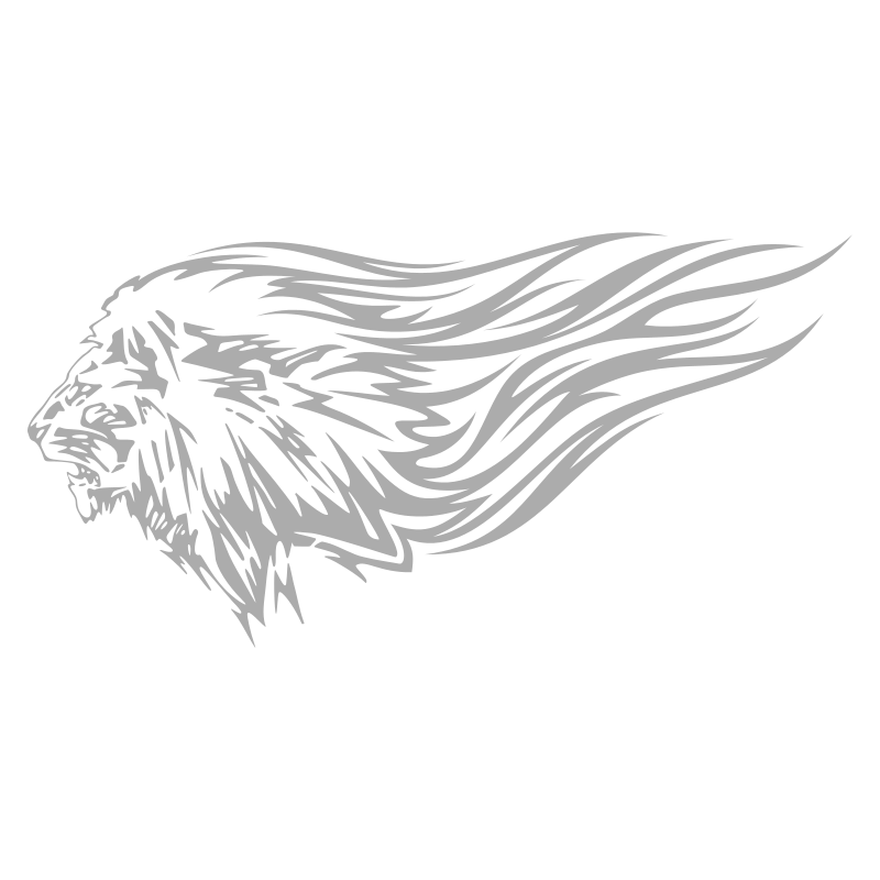 Sticker Lion flammes