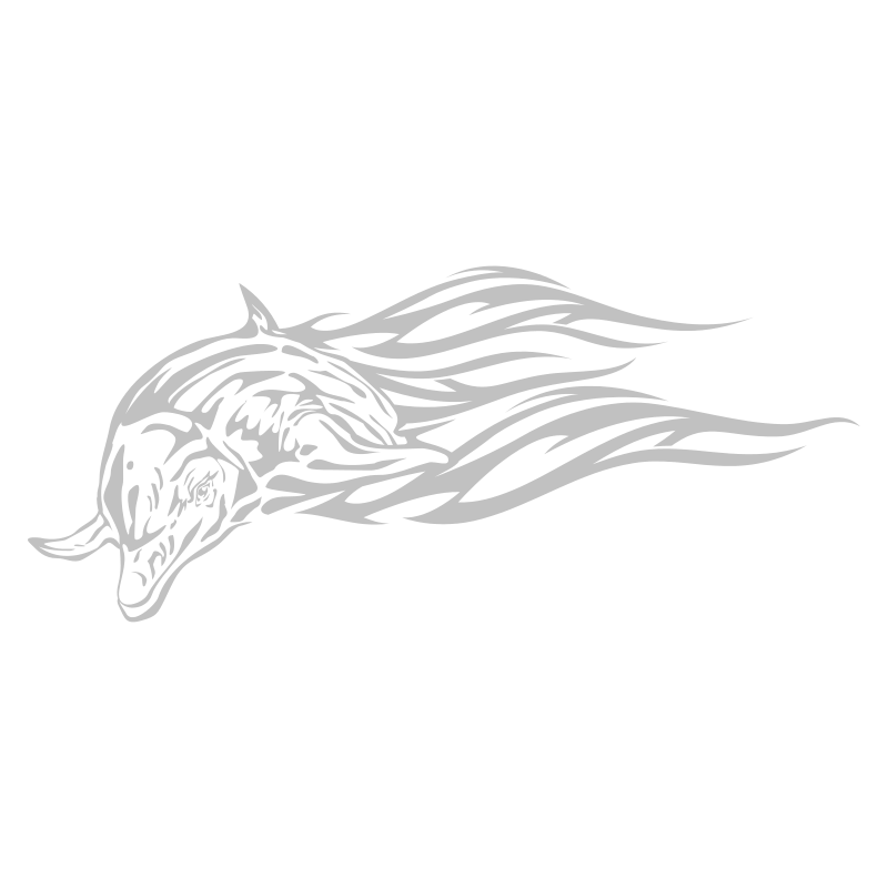 Sticker Dauphin flammes