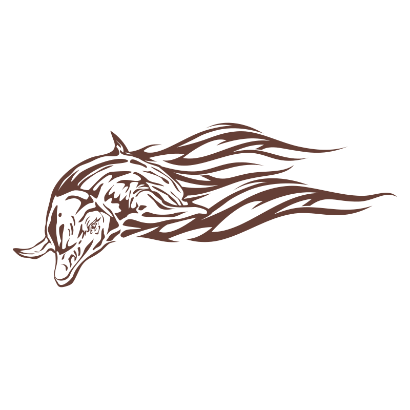 Sticker Dauphin flammes