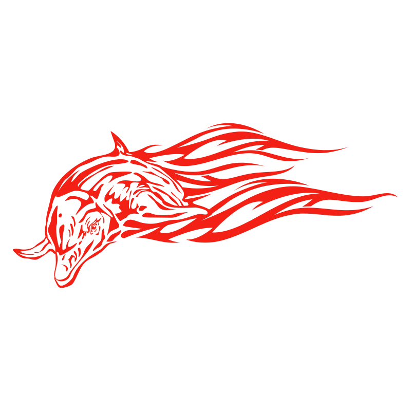 Sticker Dauphin flammes