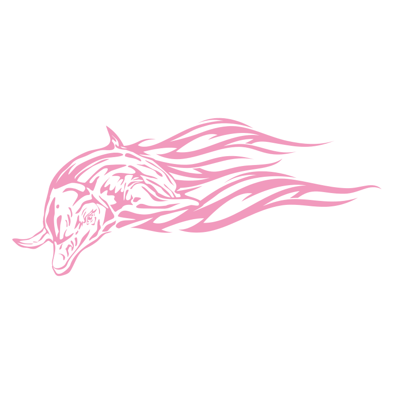 Sticker Dauphin flammes