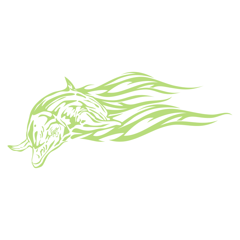Sticker Dauphin flammes