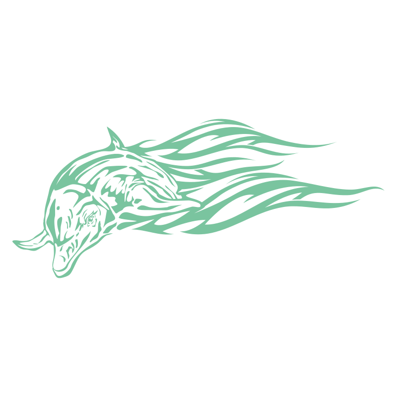 Sticker Dauphin flammes
