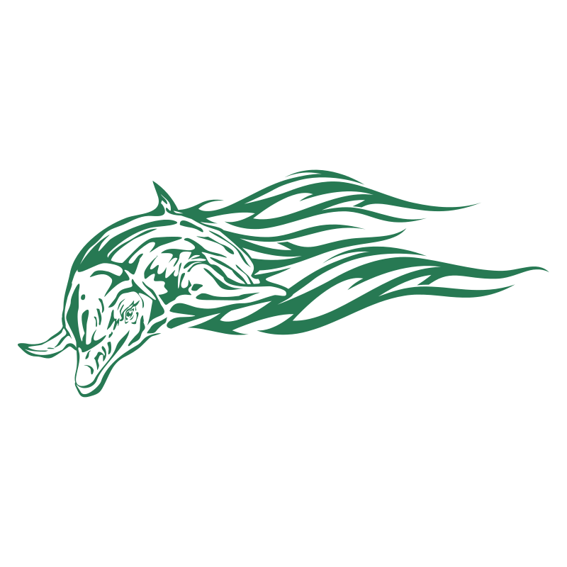 Sticker Dauphin flammes