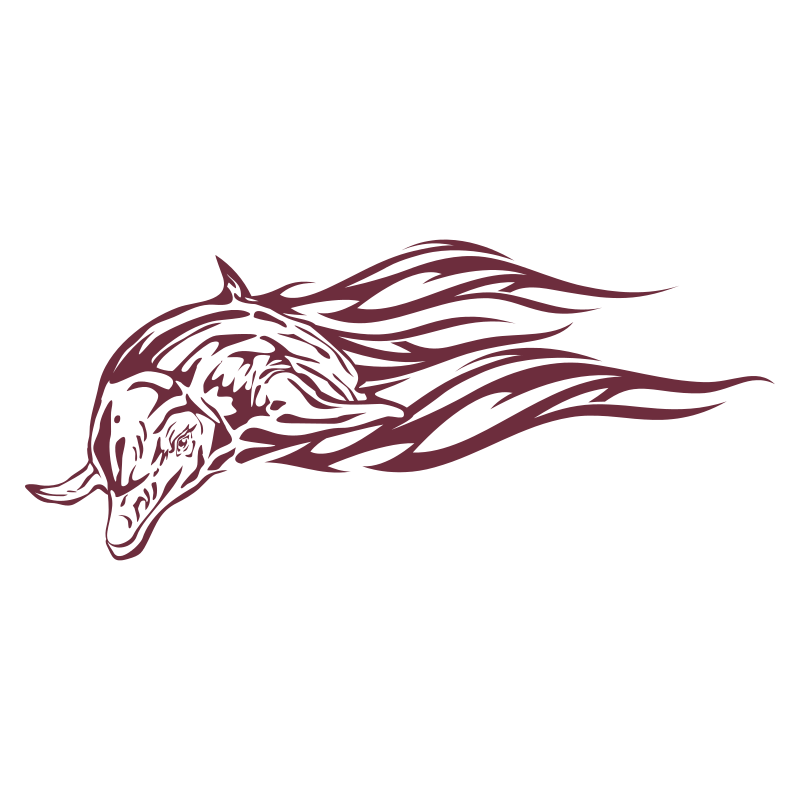 Sticker Dauphin flammes