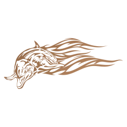Sticker Dauphin flammes