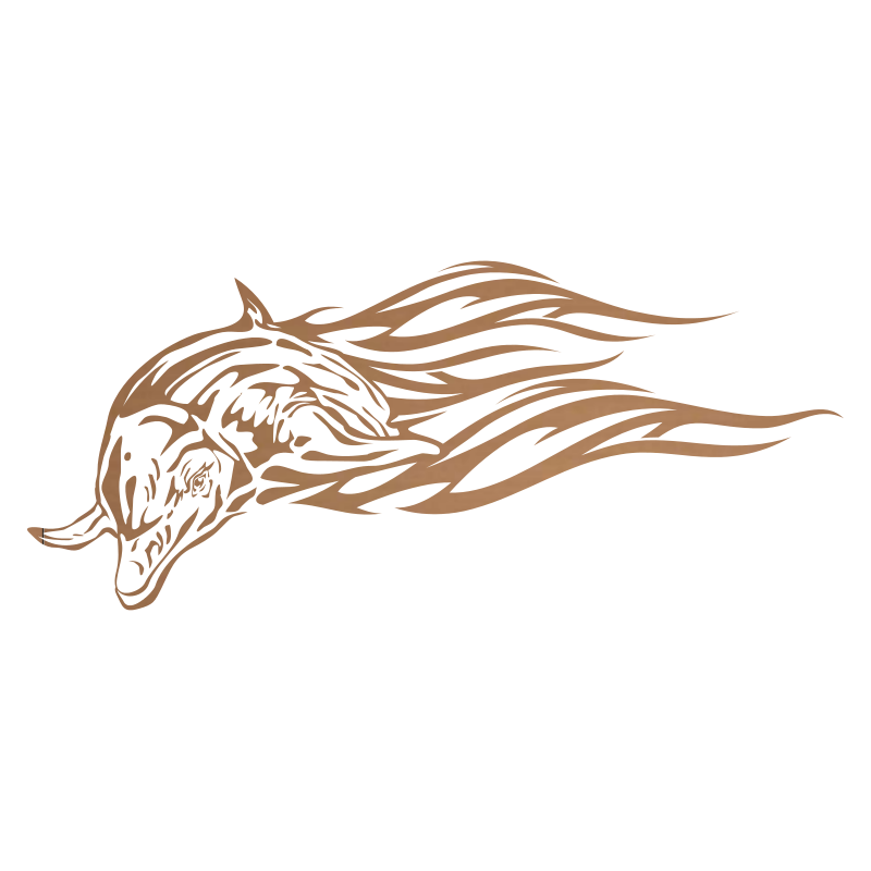 Sticker Dauphin flammes