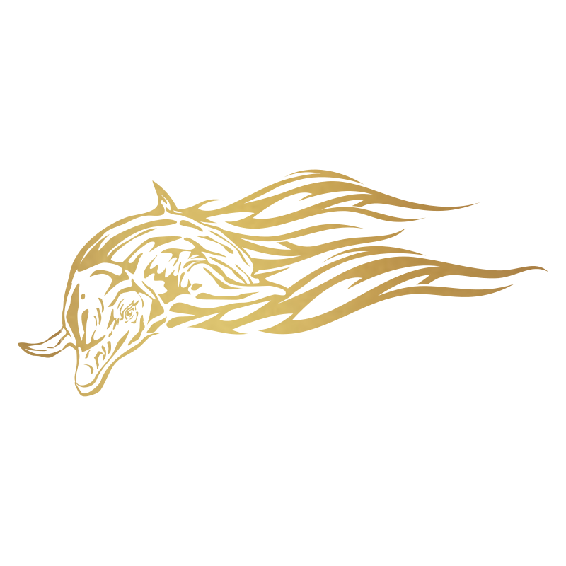 Sticker Dauphin flammes