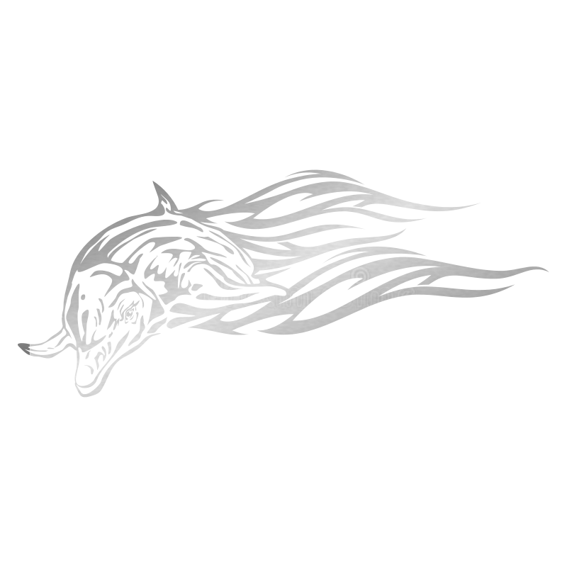 Sticker Dauphin flammes