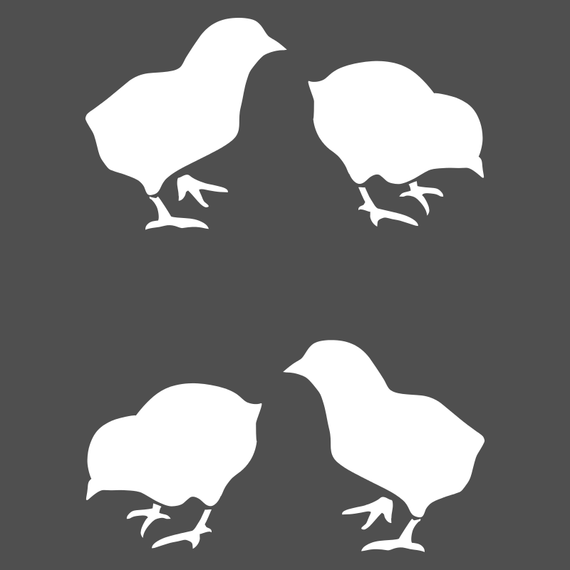 Pochoir poussins