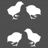 Pochoir poussins