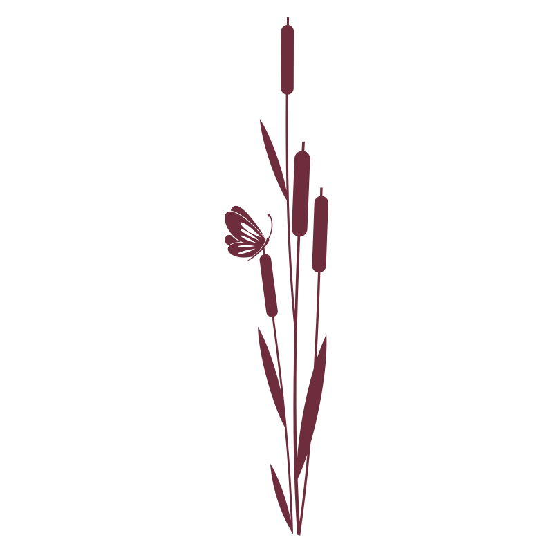 Sticker roseaux et papillon