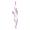 Sticker roseaux et papillon