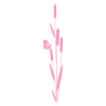Sticker roseaux et papillon