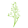 Sticker Branche fleurie