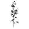 Stickers Fleurs japonaise N°25