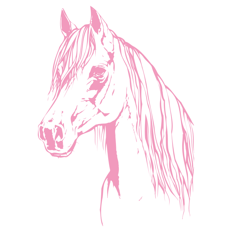 Sticker Tête de Cheval N°4