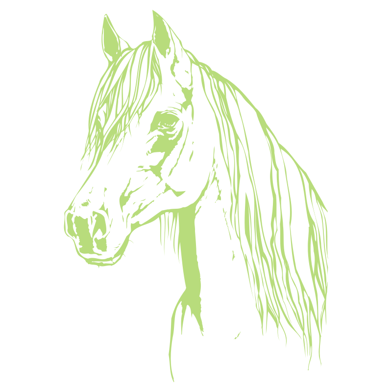Sticker Tête de Cheval N°4