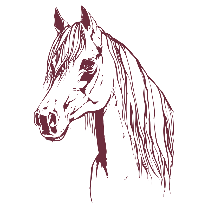 Sticker Tête de Cheval N°4
