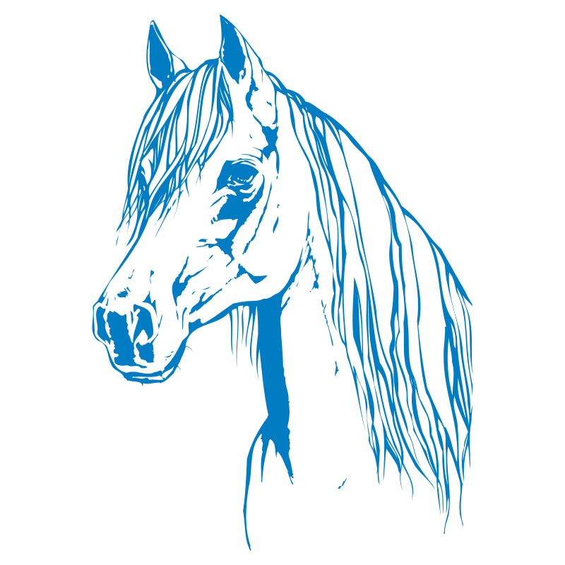 Sticker Tête de Cheval N°4