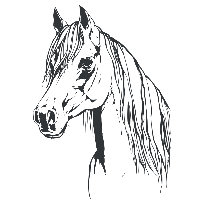 Sticker Tête de Cheval N°4