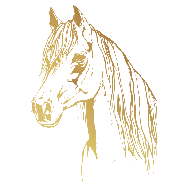 Sticker Tête de Cheval N°4