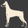 Sticker Dobermann
