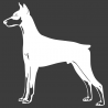 Sticker Dobermann