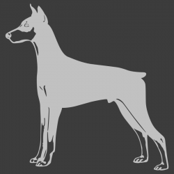 Sticker Dobermann