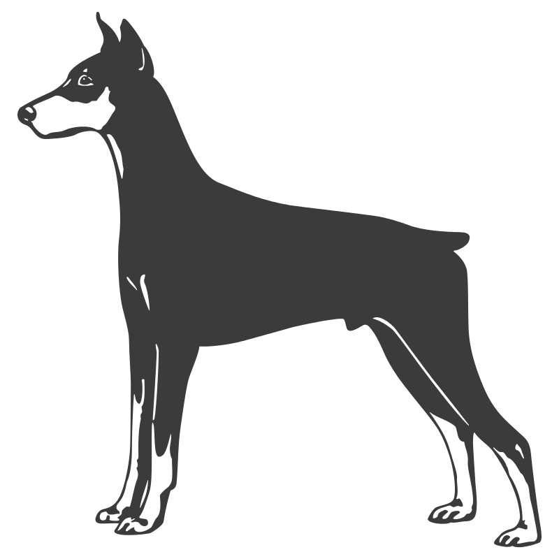 Sticker Dobermann