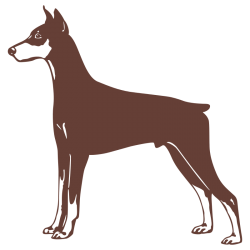 Sticker Dobermann