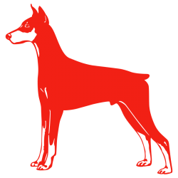 Sticker Dobermann
