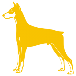 Sticker Dobermann