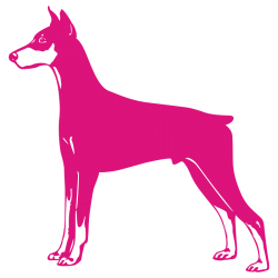 Sticker Dobermann