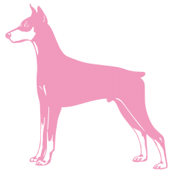 Sticker Dobermann