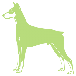 Sticker Dobermann
