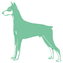 Sticker Dobermann