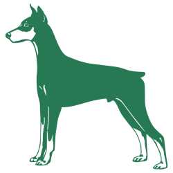 Sticker Dobermann
