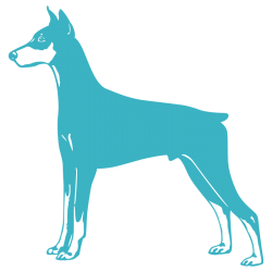 Sticker Dobermann