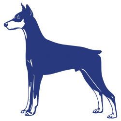 Sticker Dobermann