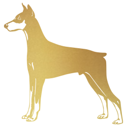 Sticker Dobermann